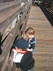 Jack and me - Bayfarm Island