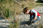 Looking for flat stones