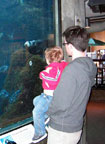Me and Dad looking at the Otters