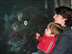 Me and Mom looking at fish