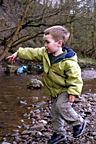 Throwing rocks in Eagley Brook