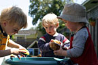 Scrubbing potatoes with Josh and Tommy