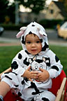 Yes I am a cow, moo...