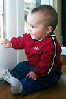 Looking out the window at buck